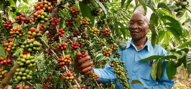 Uganda Economic Growth